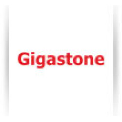 Gigastone